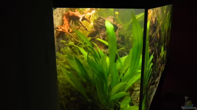 linke Seite von Nick3 (4)