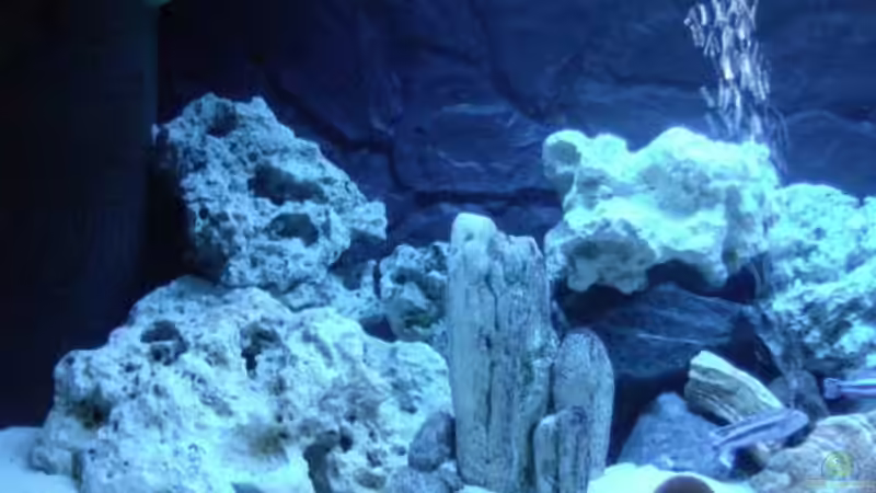 Linke Seite von O.K. (3)