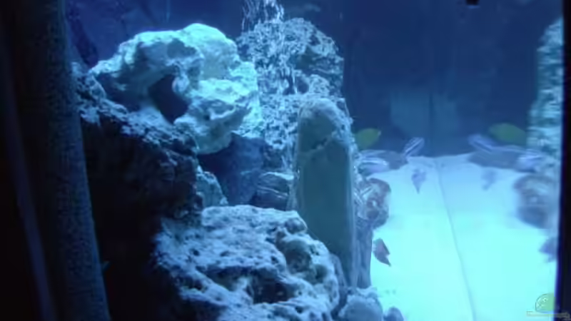 Linke Seite von O.K. (7)