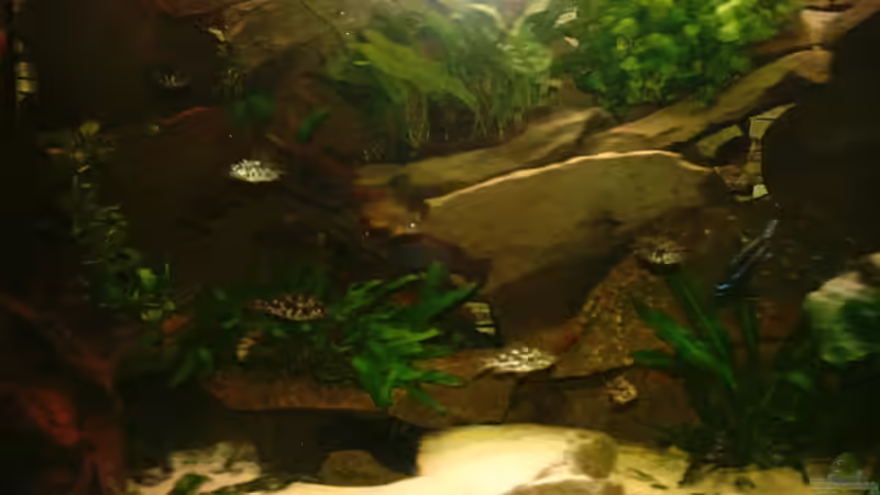 Linke Seite von Philipp Clodt (2)