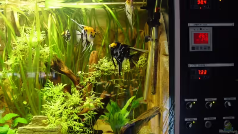 linke Seite von Ralf Brücher (3)