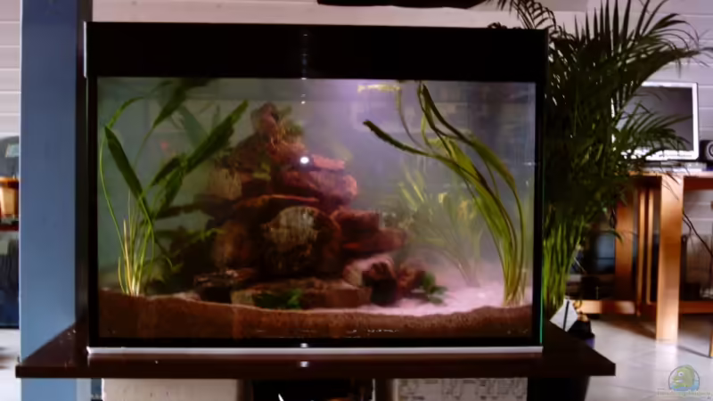 linke Seite von Schielefix (8)