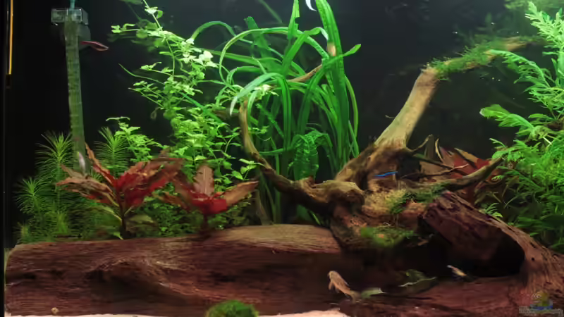 Linke Seite von Stefan Hartl (5)