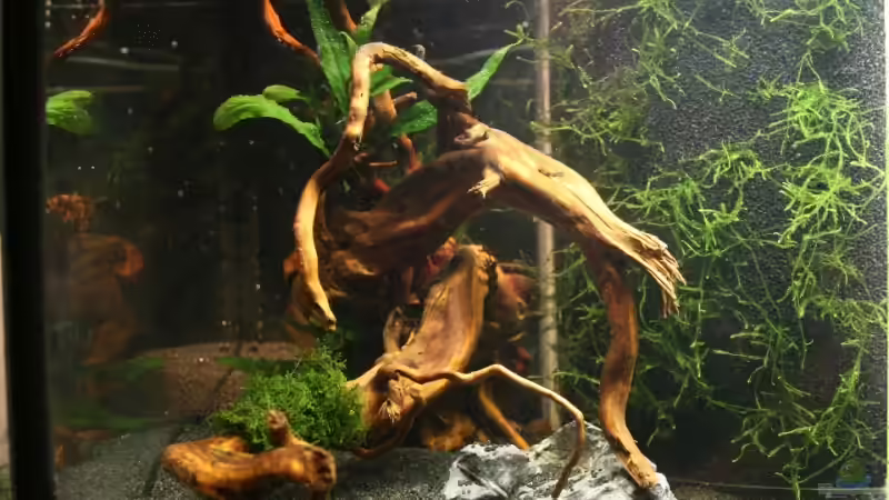 linke Seite von StefanE. (2)