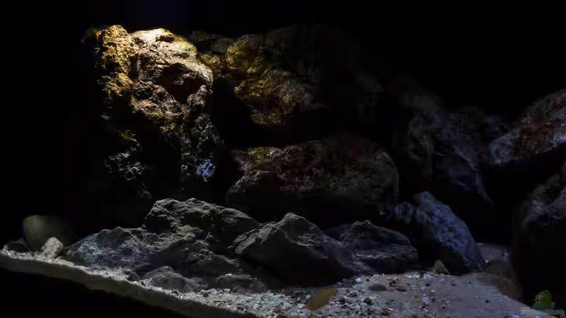 linke Seite von StevenS (14)