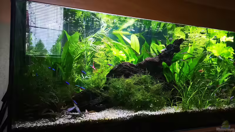 linke Seite von Sven2501 (2)