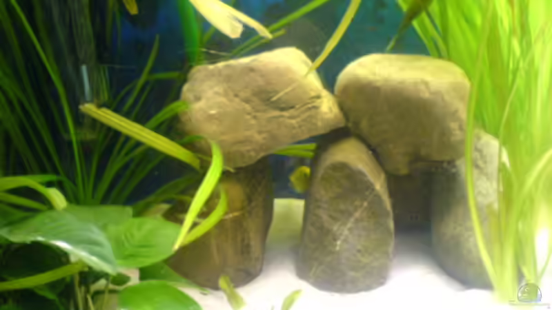 Linke Seite von t-time (3)