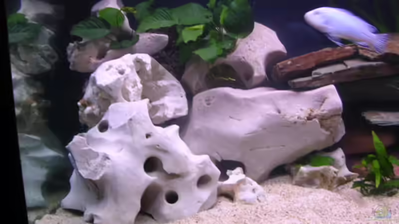 linke seite von Thomas Neuhaus (7)