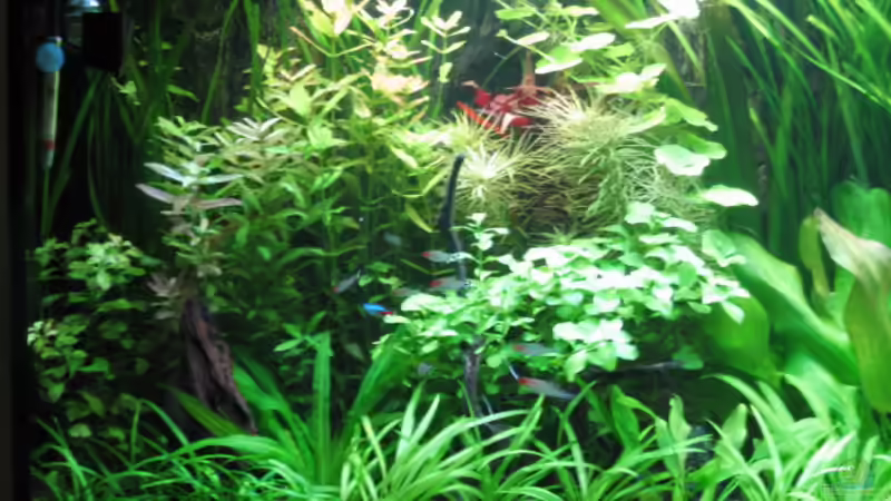 linke Seite von Thomas Schadock (3)