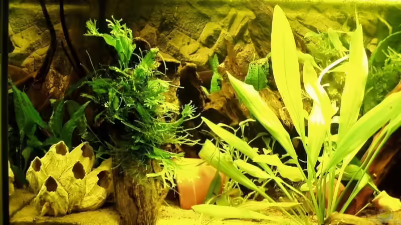 linke Seite von Tobias Kappe (2)