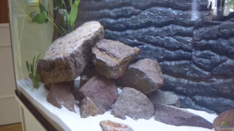 linke Seite von various77 (8)