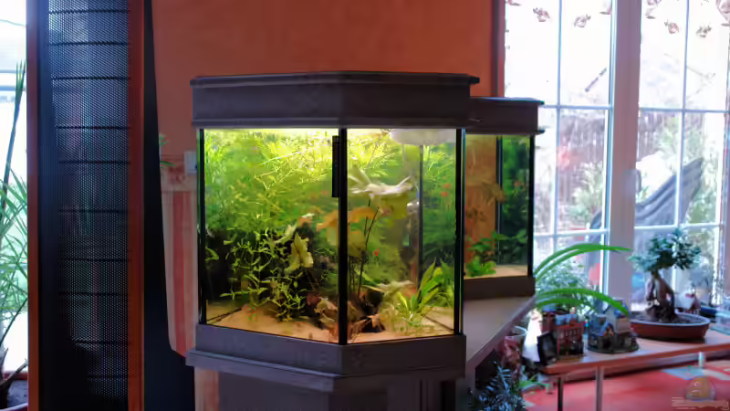 Linke Seite von WSS (6)