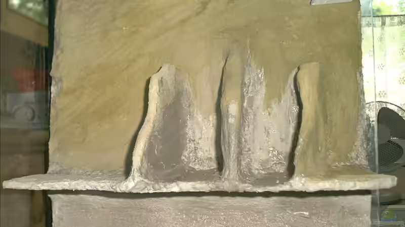 linke Seite von Yvonne-Alison De Bruijne (3)