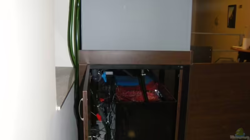 Linke seite von Zerta (15)