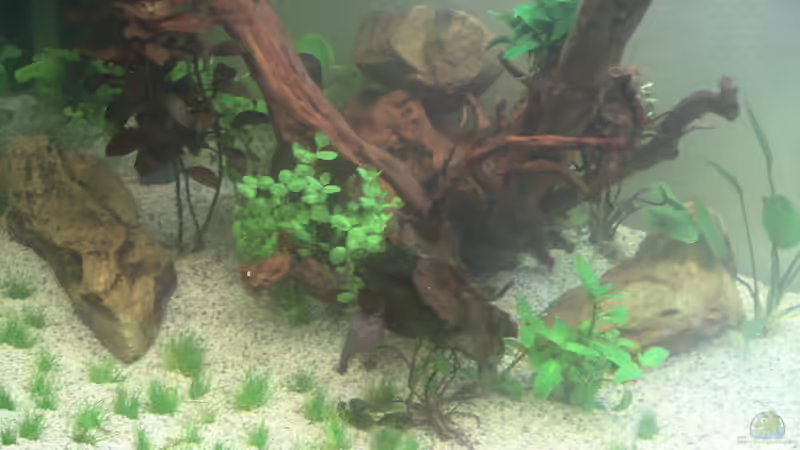 Linke Seite2_2 Tag von Jonas (Trancemania) (16)