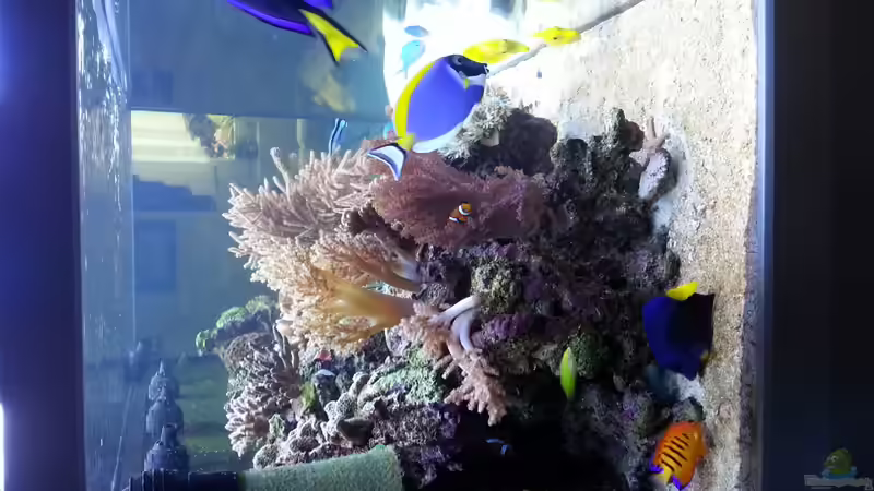 linke Seitenansicht Stand September 2013 von urbi (109)