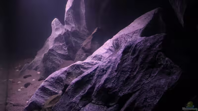 Linke Seitenansicht von Jürgen Hubral (32)