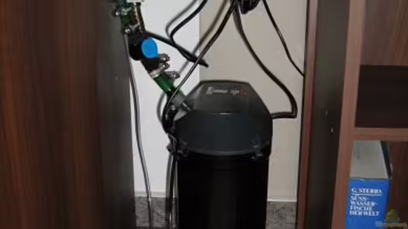 Linke Seitr: 2213 Eheim Pumpe mit Tetra Luftpumpe von Marcus Bendzulla (7)