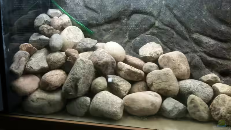 linker Aufbau von Ether1986 (8)