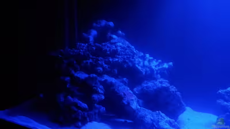 linker Beckenbereich von ollil81 (4)