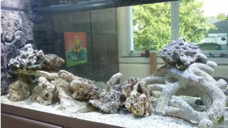 Linker Bereich (Algenfrei) von OldFriend (10)