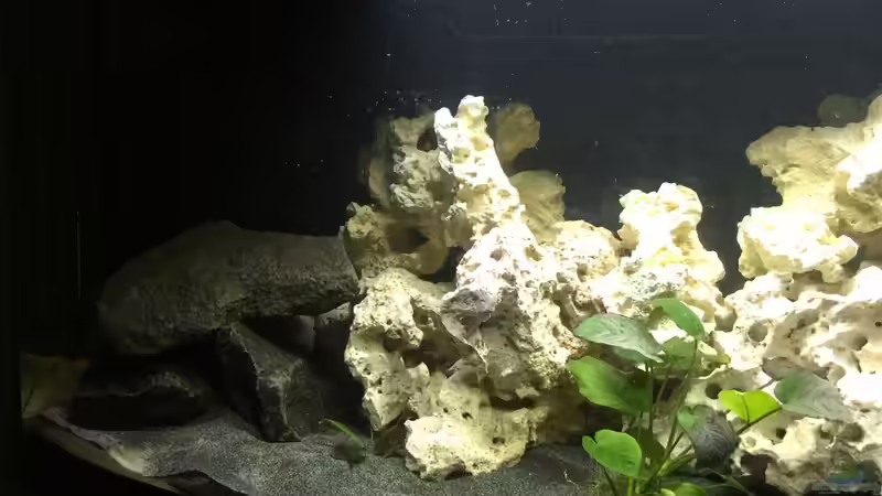 Linker Bereich mit Basaltsteinen (schönere Bilder folgen) von Alexbj93 (2)