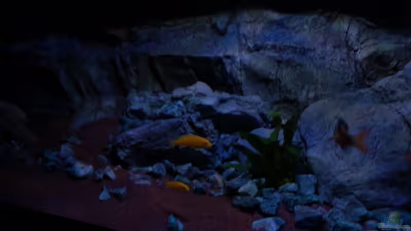 Linker Bereich von Frank Hopp (11)