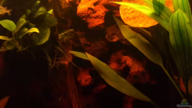 Linker Bereich von Kai Heermann (13)