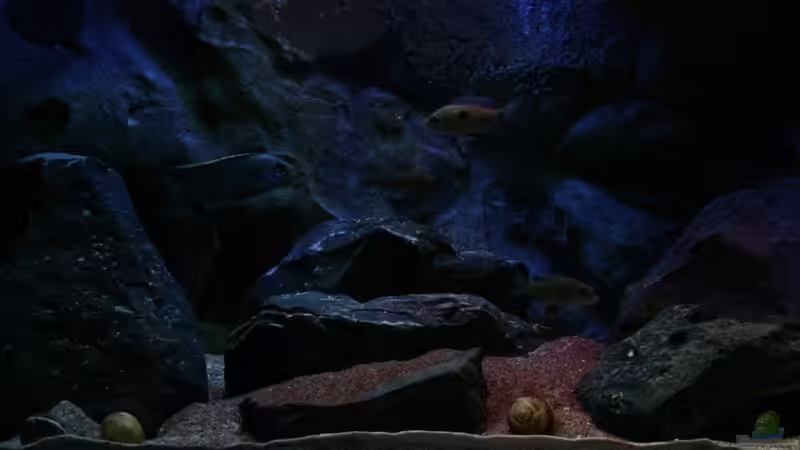 linker Bereich von Michael Reiz (5)