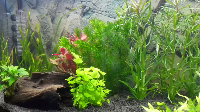 linker Bereich von Uwe M. (2)