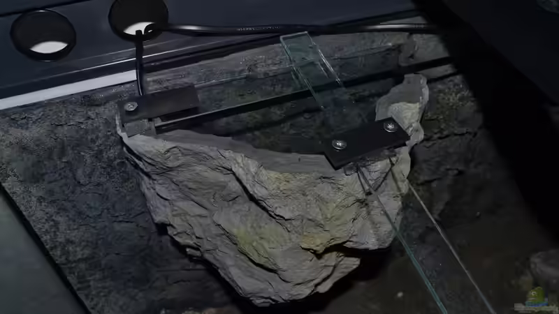linker ??berhangfelsen in das Aquarium eingepasst von falleb (14)