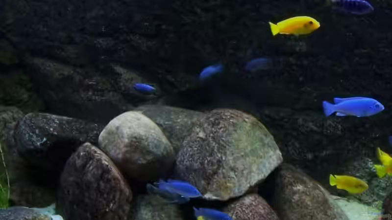 linker Felsaufbau von Rene Sarink (11)