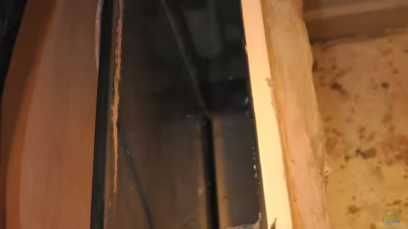 Linker Filter 14.07.2014 von DominikZ (5)