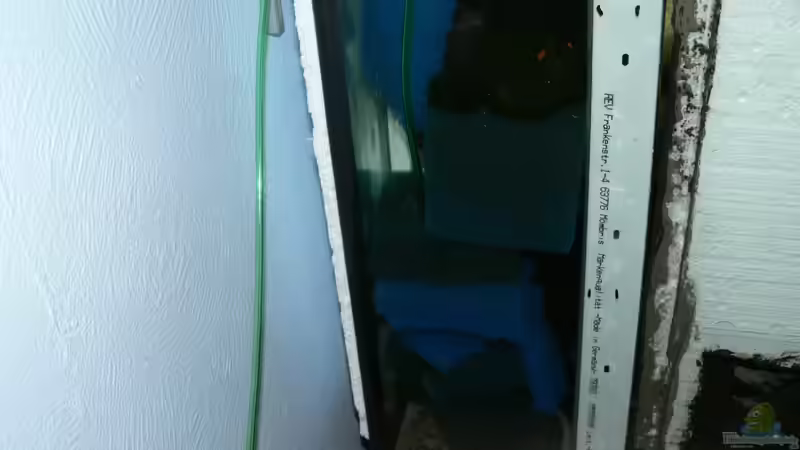 Linker Filtrer mom ein alter Maximal Filter von DominikZ (31)