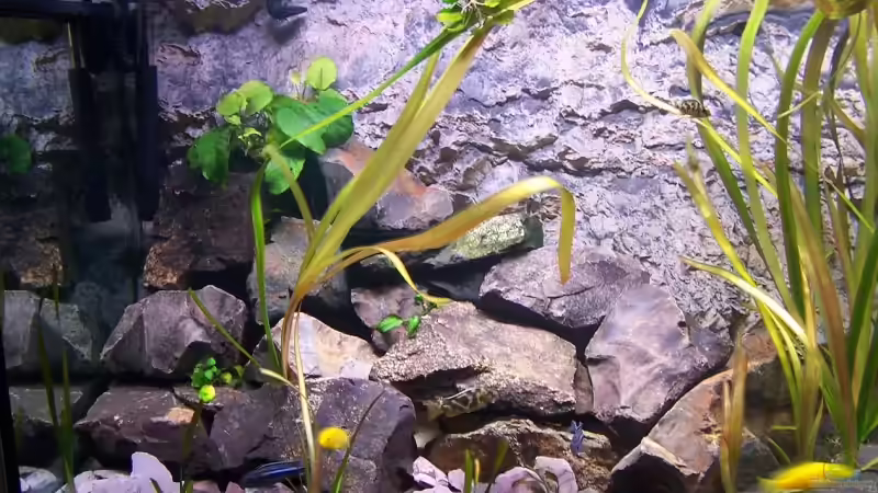 linker granit aufbau von Maik (7)