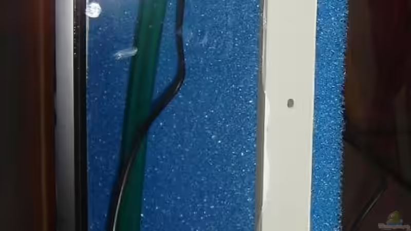 Linker HMF von Sven Pohlner (10)