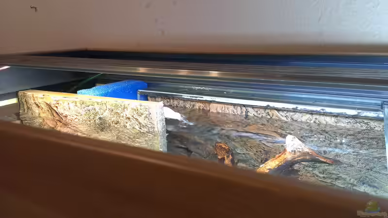 Linker Luftfilter mit halber fahrt von raubsau (143)