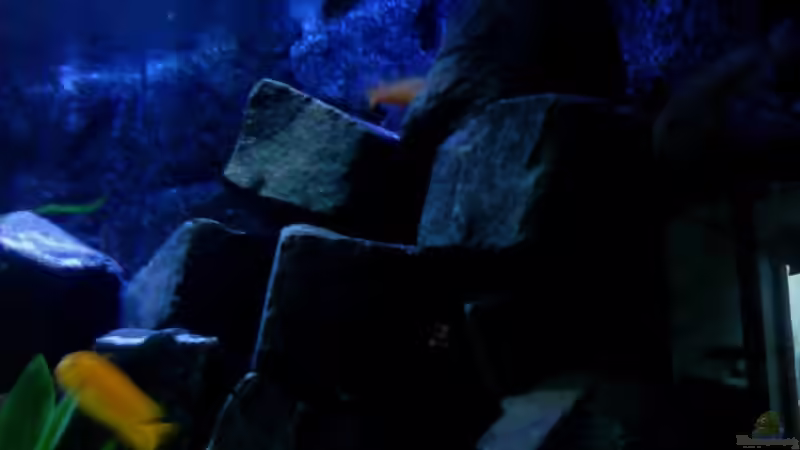 linker Steinaufbau von Ducky (2)