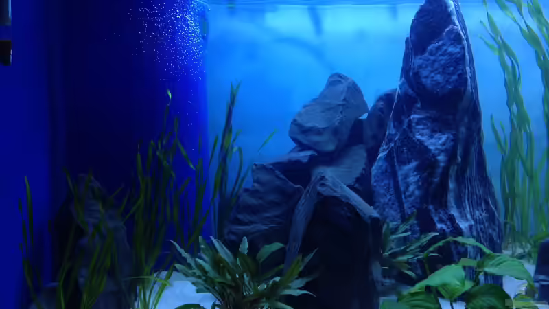 Linker Steinhaufen und HMF Eck von chewi86 (5)