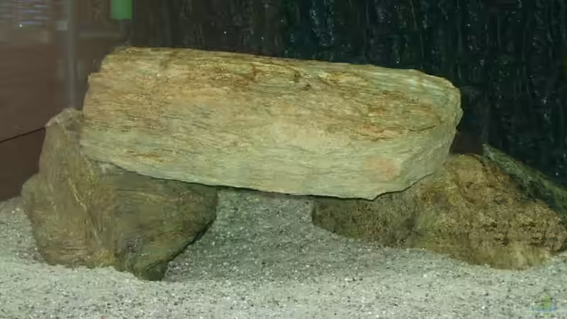 Linker Steinhaufen von Daniel Riedel (11)