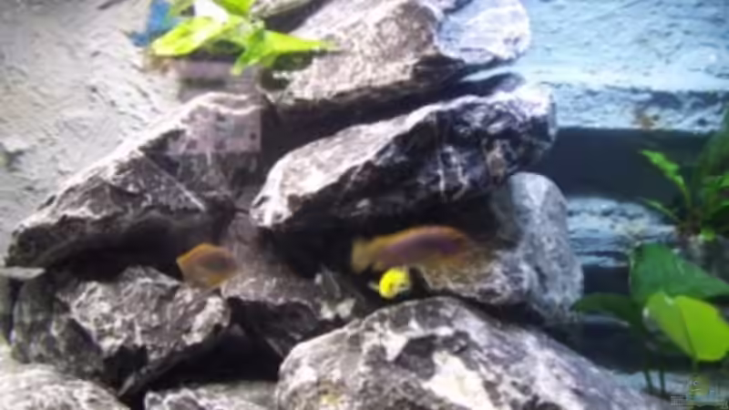 Linker Steinhaufen von rolli174 (14)