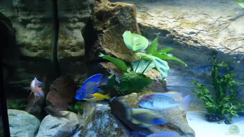 linker Steinhaufen von Sven Roland (4)