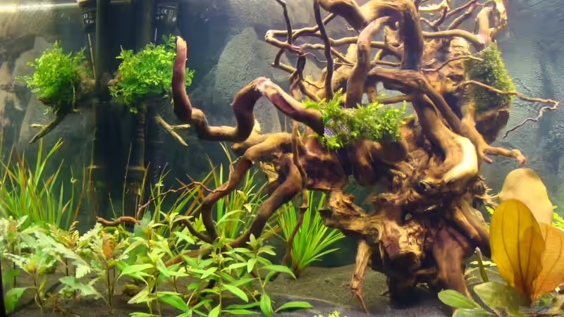 linker Teil (17.03.13) von Christian Heitmann (4)