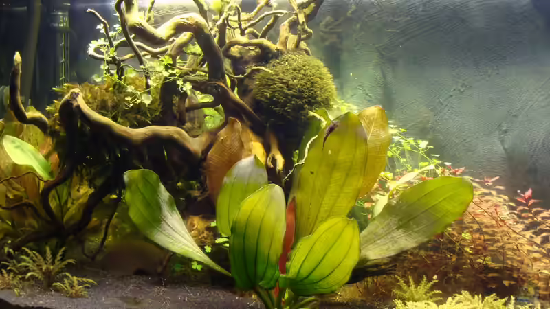 linker Teil (24.11.13) von Christian Heitmann (5)