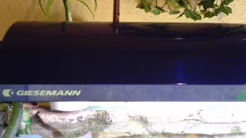 linker Teil Ausschnitt von Andrea Linge (8)