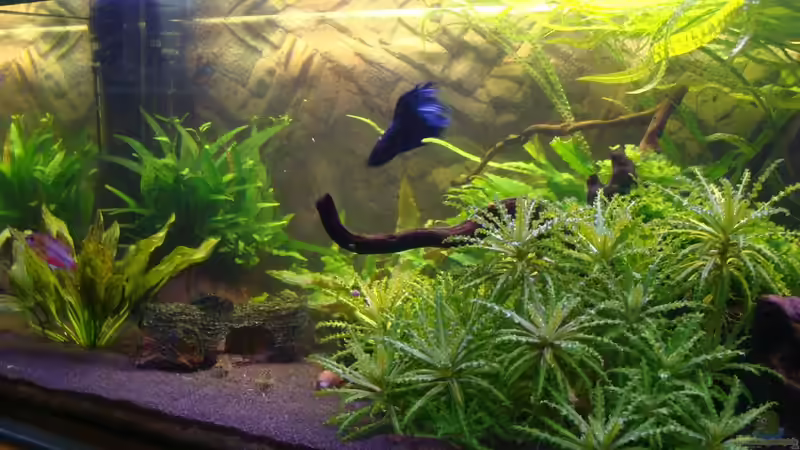 linker Teil von Christian Heitmann (5)