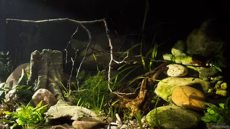 linkes Becken ´Smaugs Einöde´ (am Anfang des Beleuchtungstest) von AjakAndi (3)