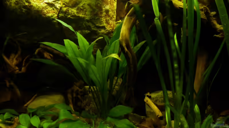 linkes Felsmodul 10.12.12 von ~Marco~ (22)