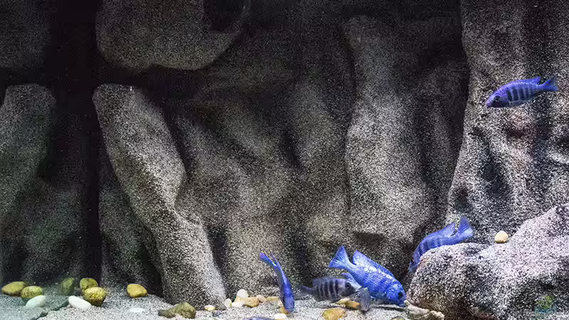 linkes Modul .... oben links die Strömungspumpe ... von AjakAndi (4)