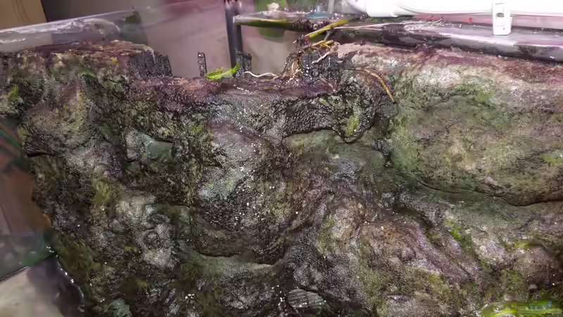 Linkes Modul  von Volker Alms (31)